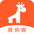 买马的生肖号码图2025年
